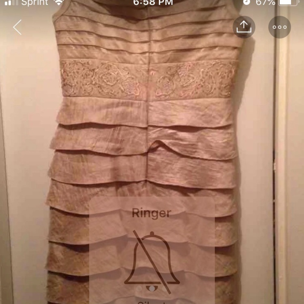 Evening Dress
